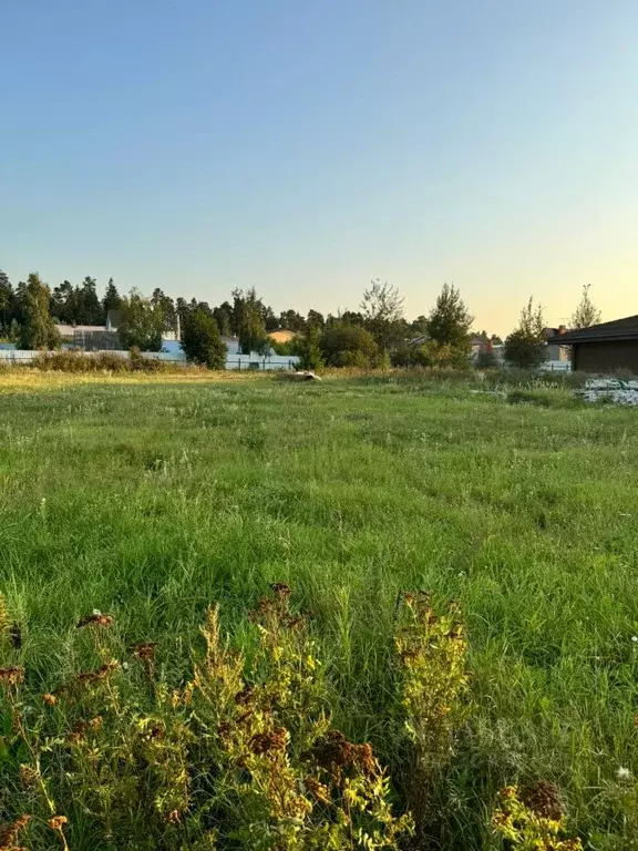 Участок в Московская область, Истра городской округ, д. Новинки, ... - Фото 0