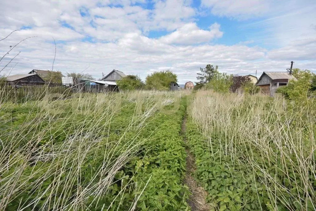 Участок в Ульяновская область, Новоульяновск городской округ, с. ... - Фото 1