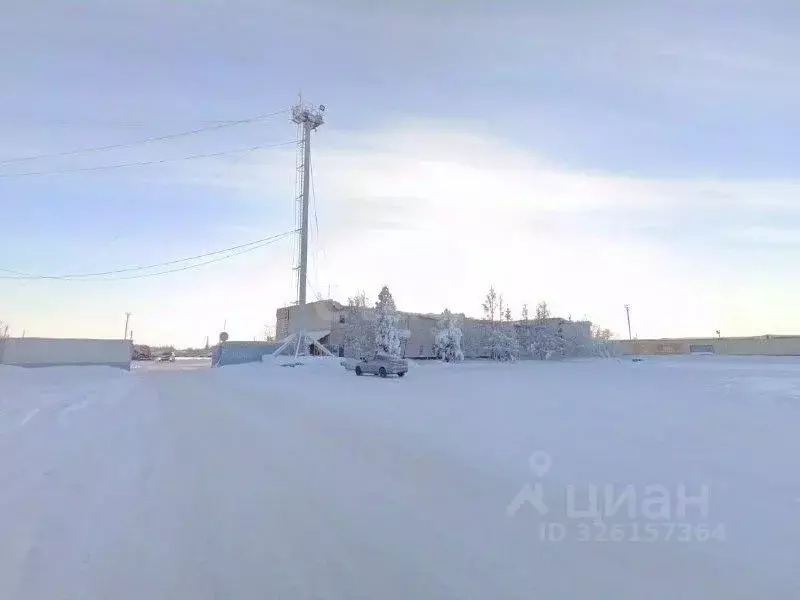 Помещение свободного назначения в Ямало-Ненецкий АО, Новый Уренгой ул. ... - Фото 2