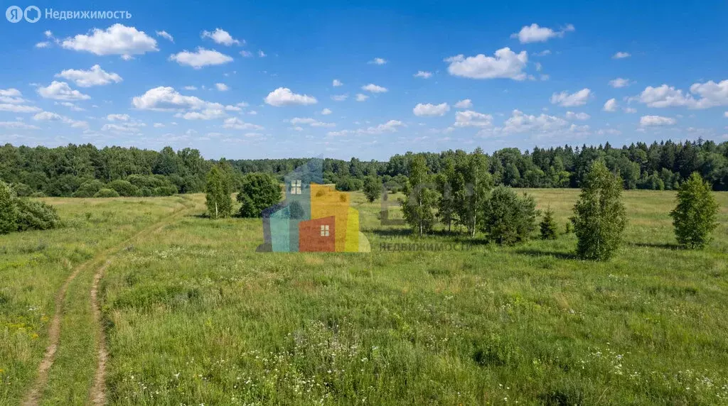 Участок в Щёкинский район, сельское поселение Огарёвское, село ... - Фото 1