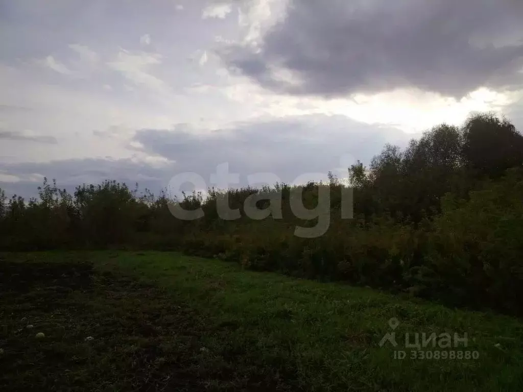 Участок в Алтайский край, Алтайский район, с. Старобелокуриха ... - Фото 1