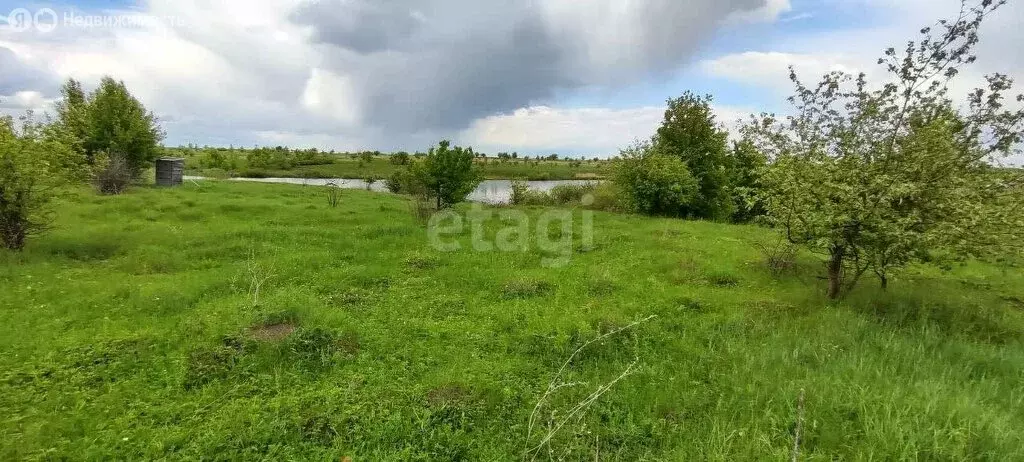 Участок в Рамонский район, Русскогвоздёвское сельское поселение, село ... - Фото 1