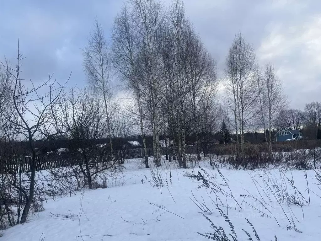 Участок в Тверская область, Конаковский муниципальный округ, д. ... - Фото 1