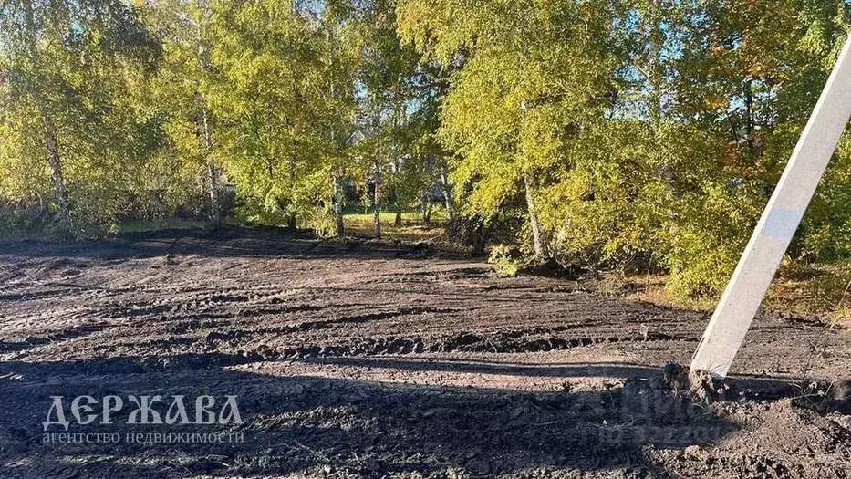 Участок в Белгородская область, Старый Оскол пер. 1-й Тружеников, 10 ... - Фото 0