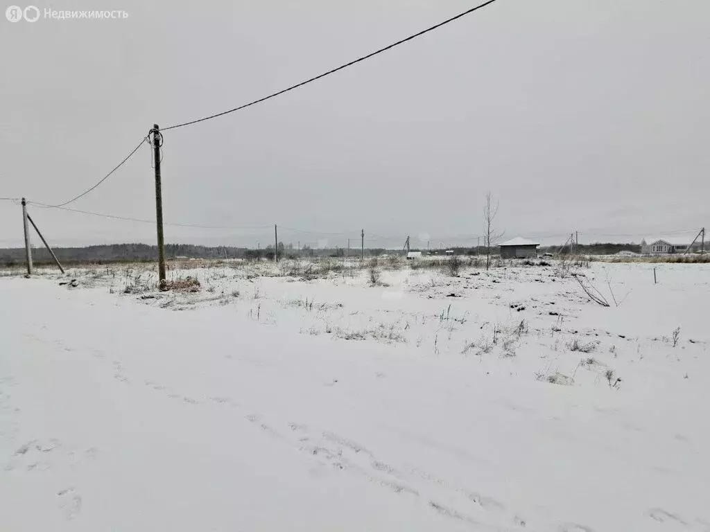 Участок в Шекснинский район, деревня Нифантово (12.5 м) - Фото 0