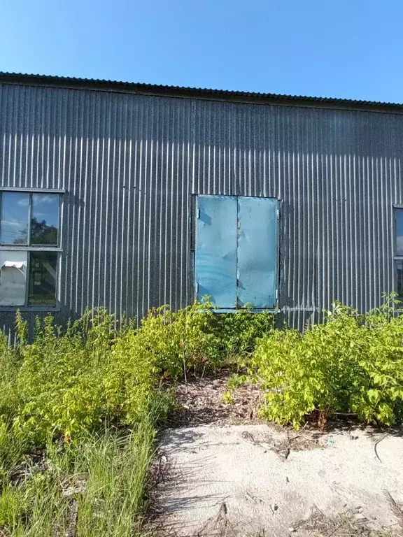 Склад в Калужская область, Ермолино г. Боровский муниципальный округ, ... - Фото 2