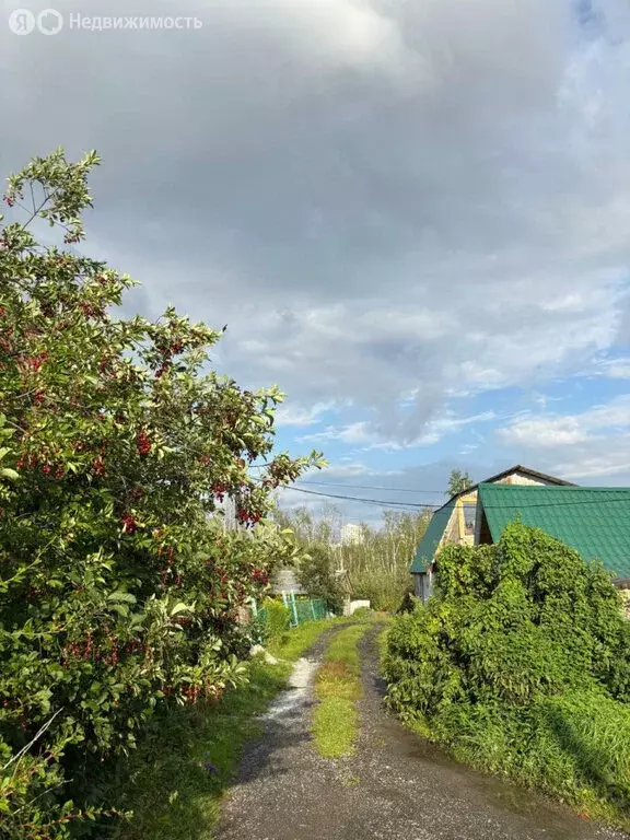 Дом в Екатеринбург, СНТ Полиграфист (98 м) - Фото 0