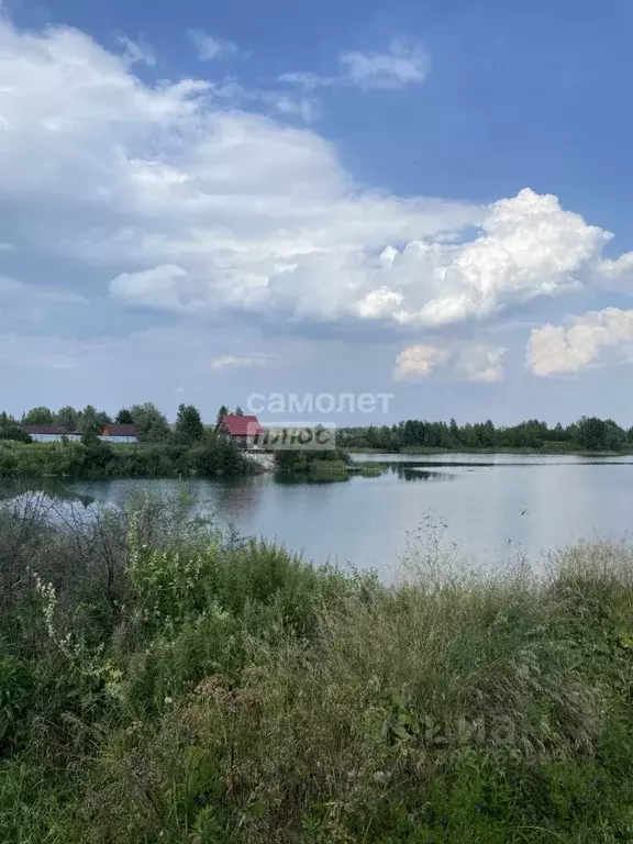 Участок в Новосибирская область, Новосибирский район, с. Криводановка ... - Фото 0