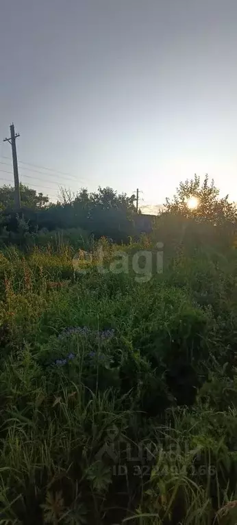 Дом в Вологодская область, Вологда Энергетик садоводческое ... - Фото 2
