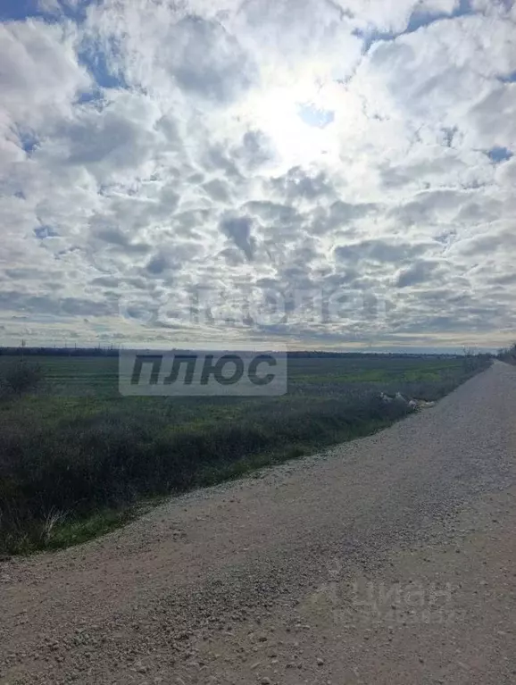 Участок в Крым, Сакский район, с. Охотниково  (300.0 сот.) - Фото 1