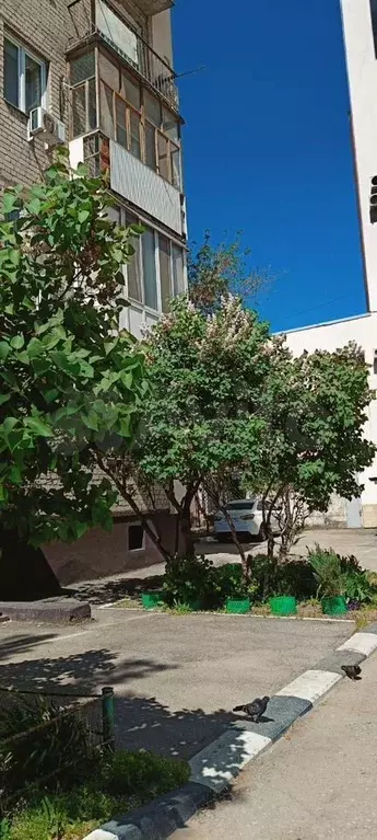 1-к. квартира, 30 м, 3/5 эт. - Фото 0