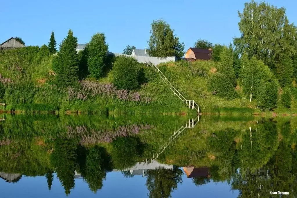 Участок в Пермский край, Березники муниципальный округ, д. Турлавы ул. ... - Фото 1