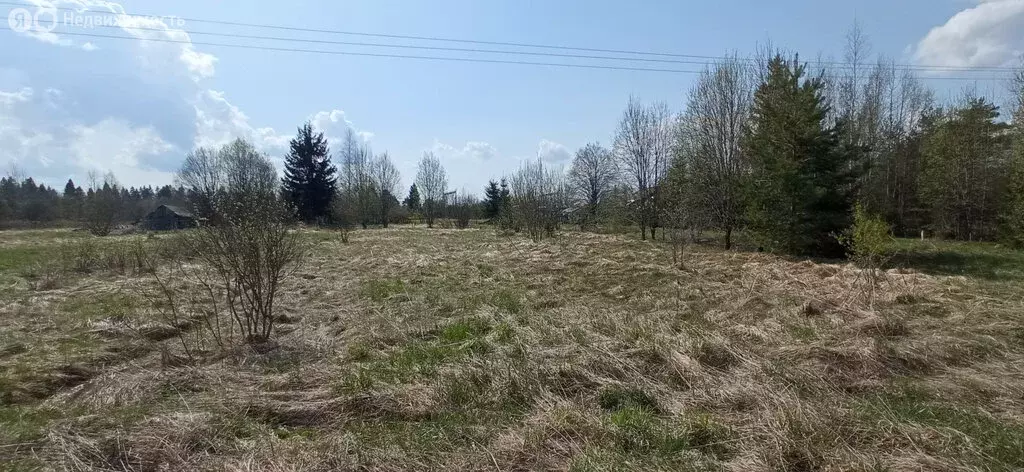 Участок в Вологодский муниципальный округ, железнодорожная станция ... - Фото 1