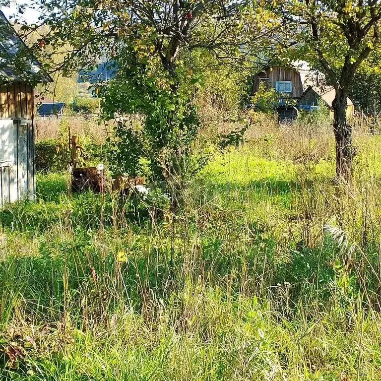 Участок в Аша, СНТ Сад № 5 (3.83 м) - Фото 2