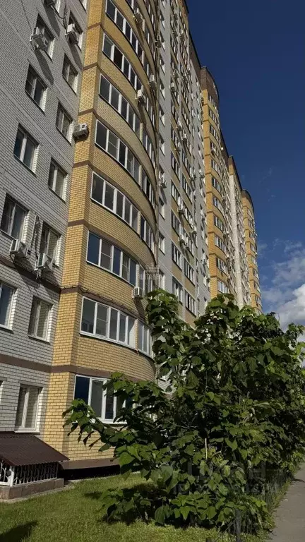 2-к кв. Воронежская область, Воронеж ул. Академика Конопатова, 11 ... - Фото 0