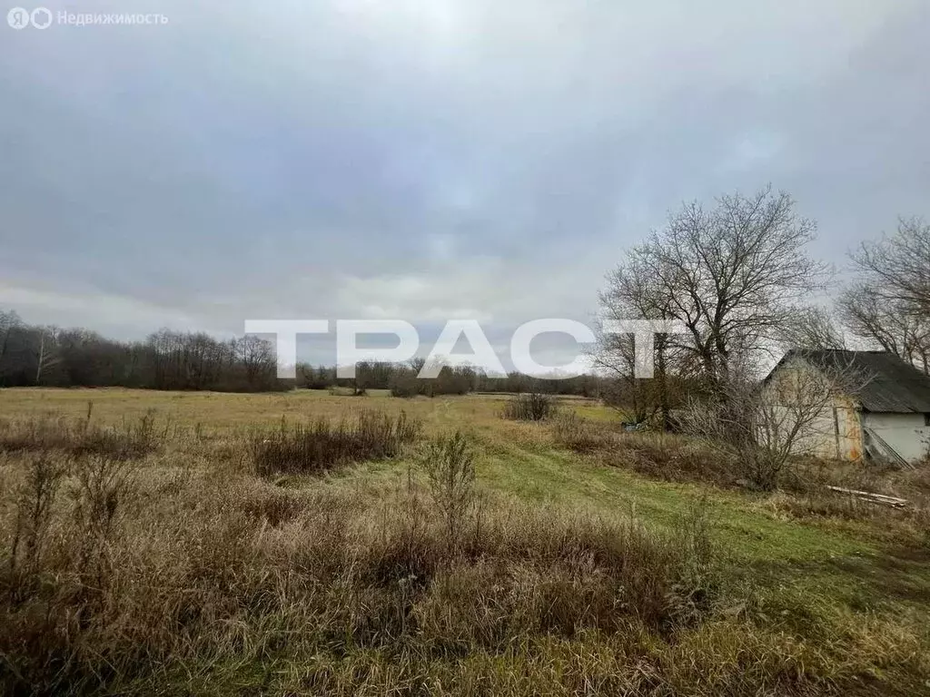 Участок в село Старый Эртиль, Песчаная улица, 2 (50 м) - Фото 1