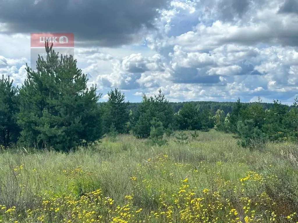 Участок в Рязанская область, Рязанский район, Дубровическое с/пос, с. ... - Фото 0