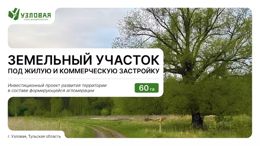 Участок в Тульская область, Узловая  (60.0 га.) - Фото 1