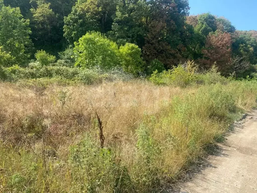 Участок в Адыгея, Майкопский район, Краснооктябрьское с/пос, Импульс ... - Фото 1