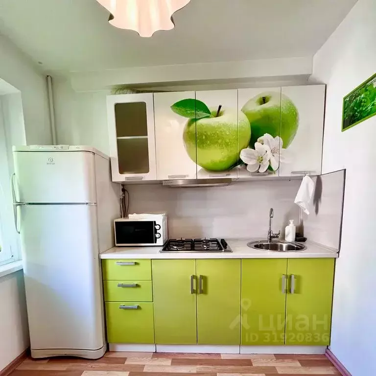 1-к кв. Краснодарский край, Сочи Гагарина мкр, ул. Красноармейская, ... - Фото 1