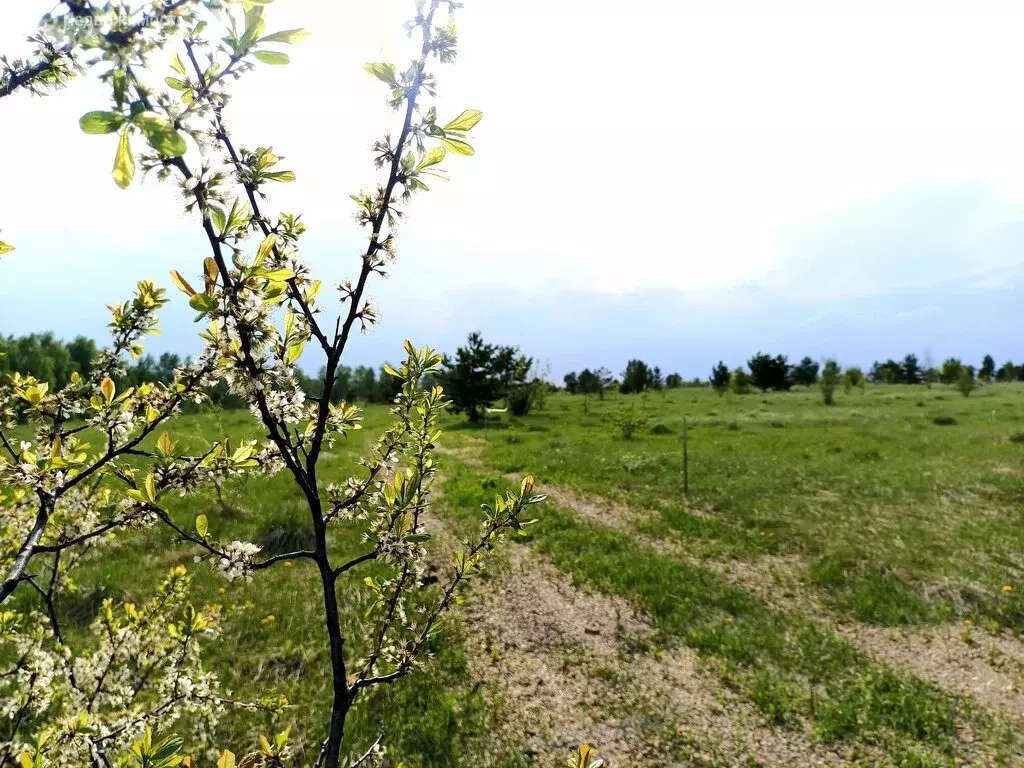 Участок в село Бессоновка, Озёрная улица (6.75 м) - Фото 2