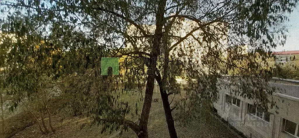 Комната Курганская область, Курган ул. Дзержинского, 39 (17.2 м) - Фото 2