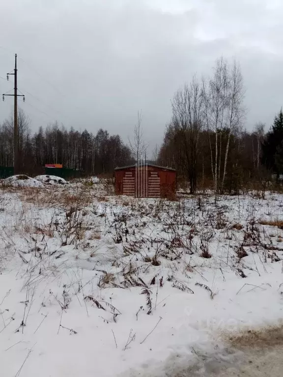 Участок в Владимирская область, Судогодский район, Вяткинское ... - Фото 0