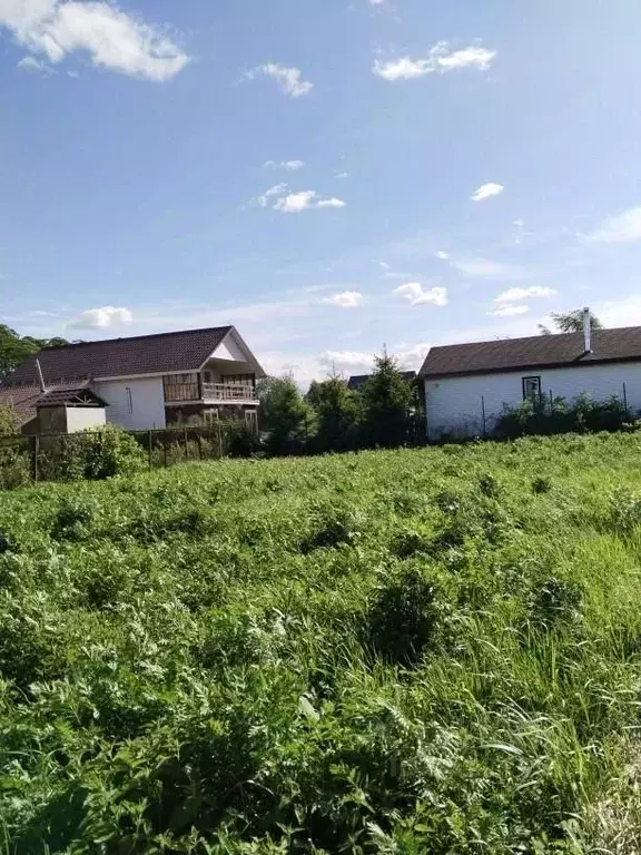 Участок в Ленинградская область, Ломоносовский район, Виллозское ... - Фото 2
