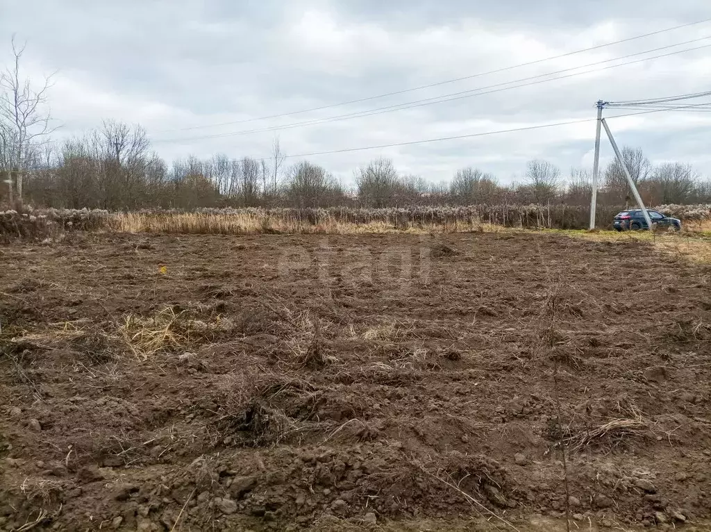 Дом в Ярославская область, Ярославский муниципальный округ, д. ... - Фото 1