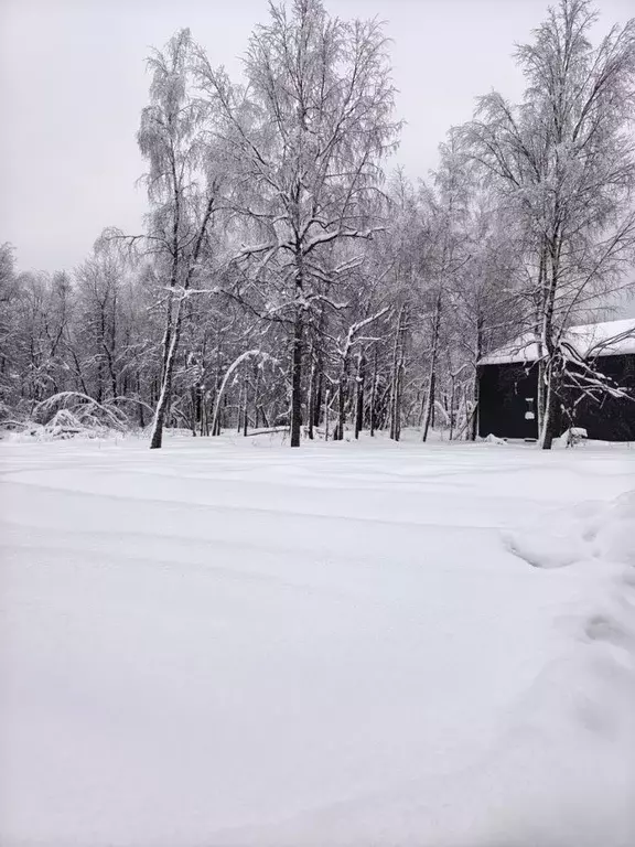 Участок в Московская область, Истра муниципальный округ, с. ... - Фото 1