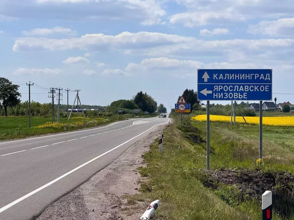 Участок в Калининградская область, Гурьевский муниципальный округ, ... - Фото 1