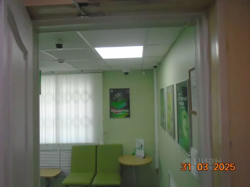 Помещение свободного назначения в Новосибирская область, Новосибирск ... - Фото 1