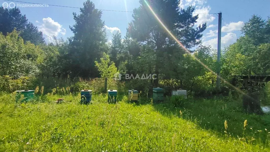 Участок в Суздальский район, муниципальное образование Селецкое, СНТ ... - Фото 1