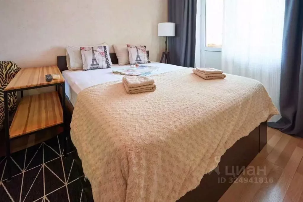 1-к кв. Краснодарский край, Краснодар Центральный мкр, ул. ... - Фото 2