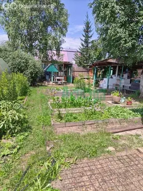 Участок в Чита, ДНТ № 29 Лесная Поляна, 1 (10 м) - Фото 0