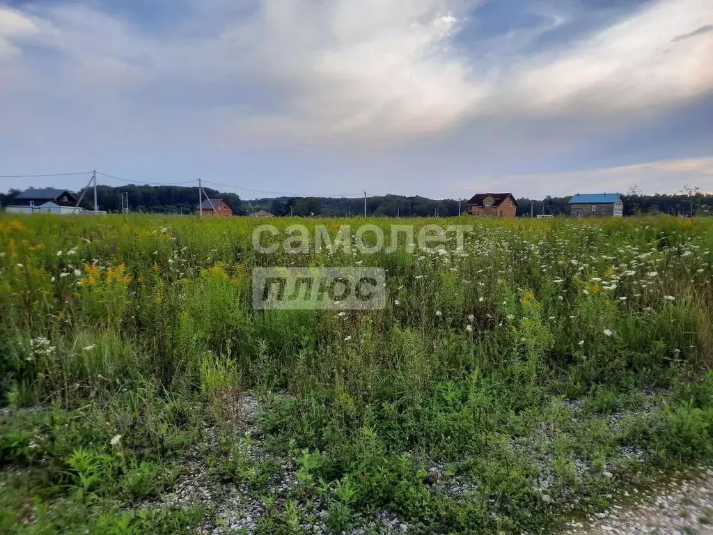 Участок в Московская область, Серпухов городской округ, д. Зайцево  ... - Фото 2