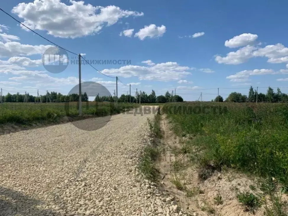 Участок в Ленинградская область, Гатчинский муниципальный округ, д. ... - Фото 2
