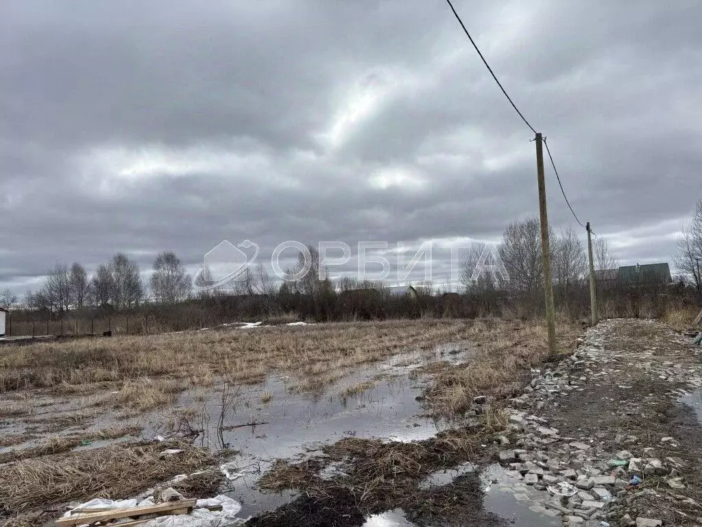 Участок в Тюменская область, Тюменский район, Мебельщик-2 СНТ ул. ... - Фото 1