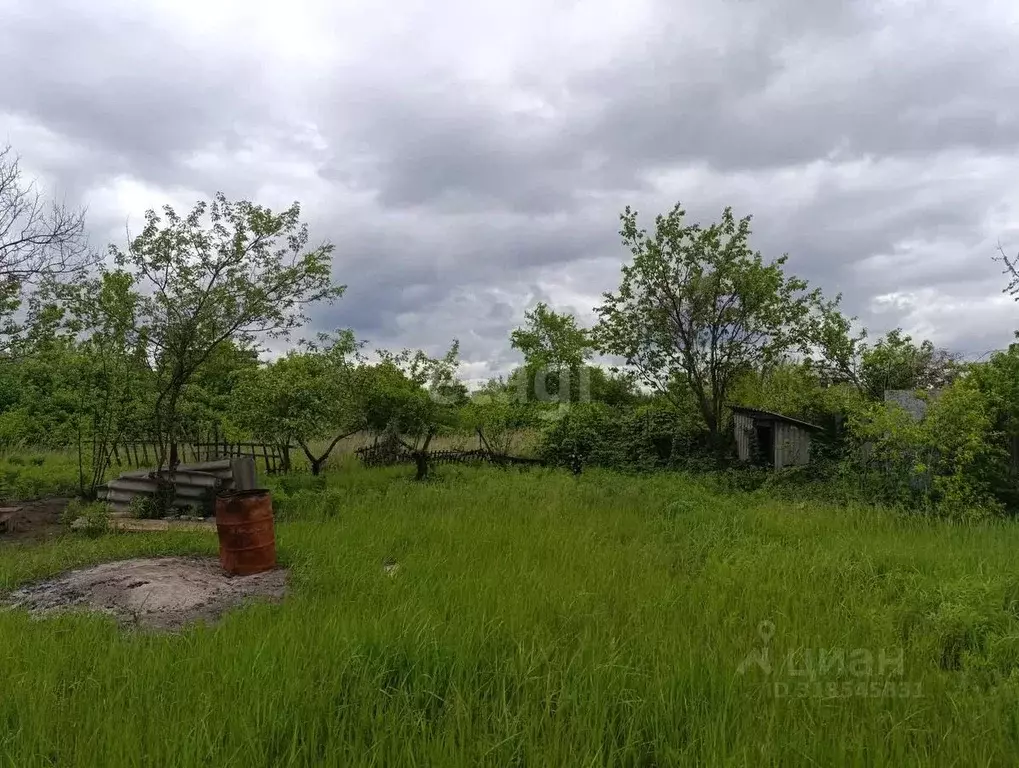 Дом в Воронежская область, Воронеж Радуга СНТ, ул. Садовая, 157 (27 м) - Фото 2