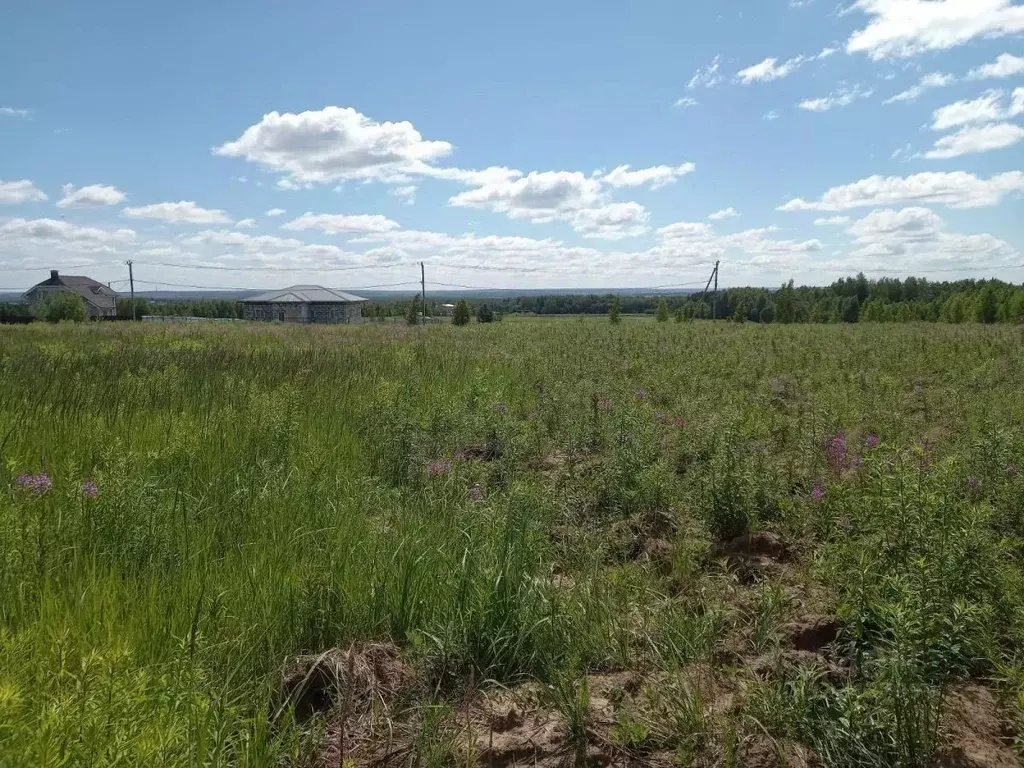 Участок в Нижегородская область, Богородский муниципальный округ, ... - Фото 2