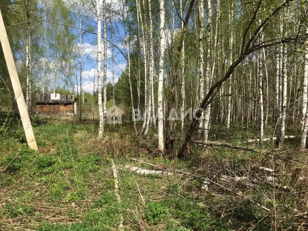 Участок в Владимирская область, Владимир Миловка СТ,  (10.0 сот.) - Фото 1