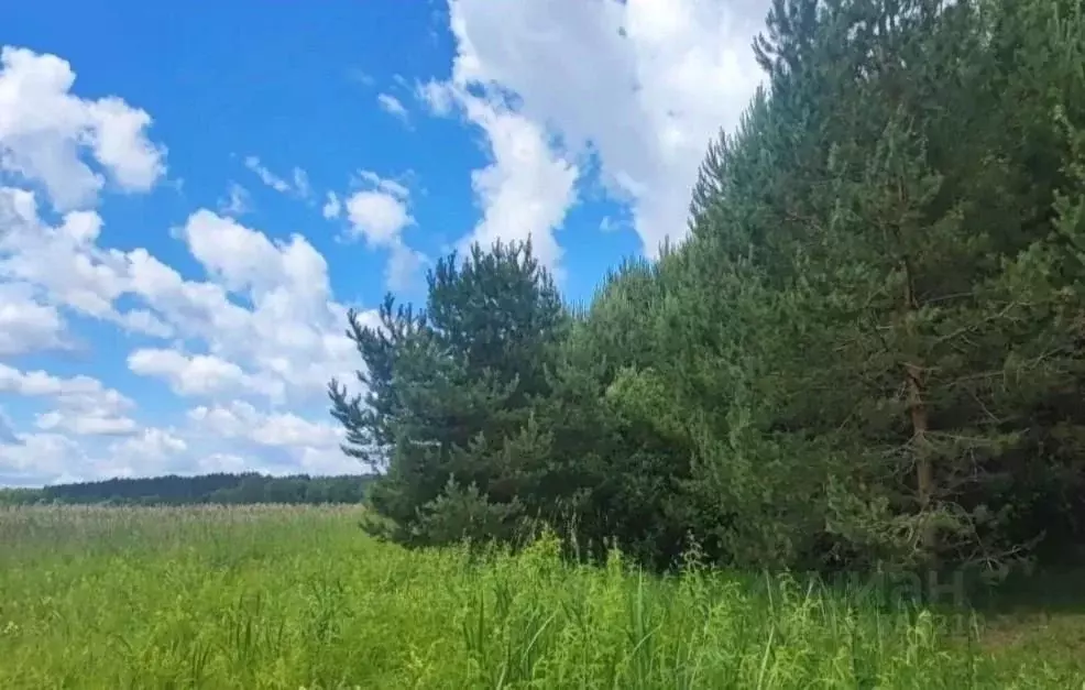Участок в Тверская область, Осташковский муниципальный округ, д. ... - Фото 1