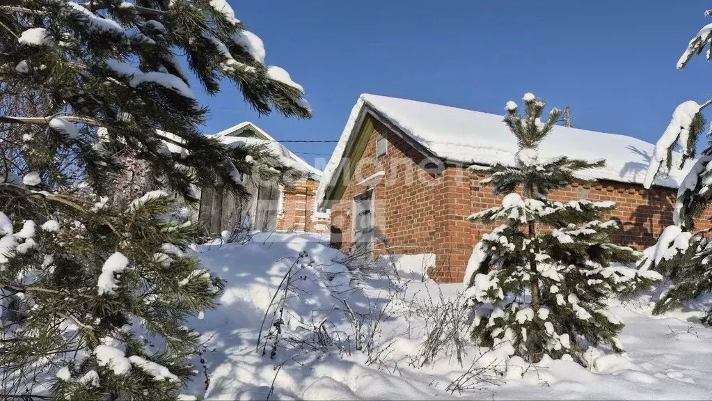 Дом в Нижегородская область, Нижний Новгород д. Лапшлей, 24 (41 м) - Фото 1
