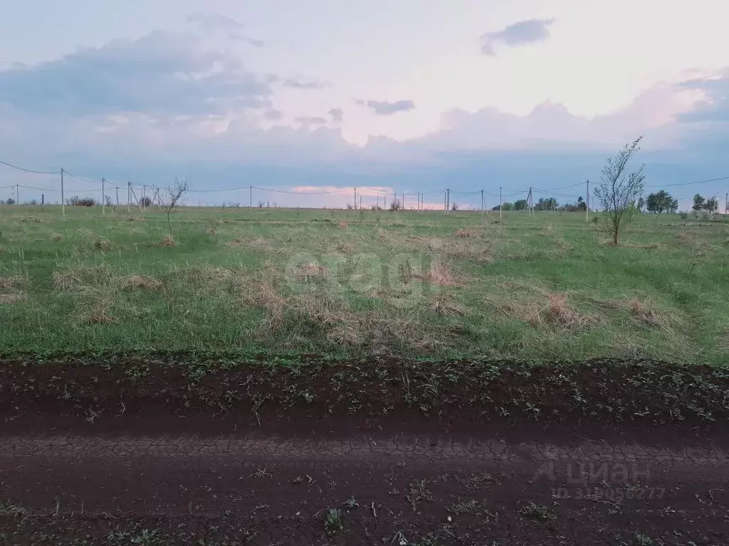Участок в Саратовская область, Балашовский район, Хоперское ... - Фото 1