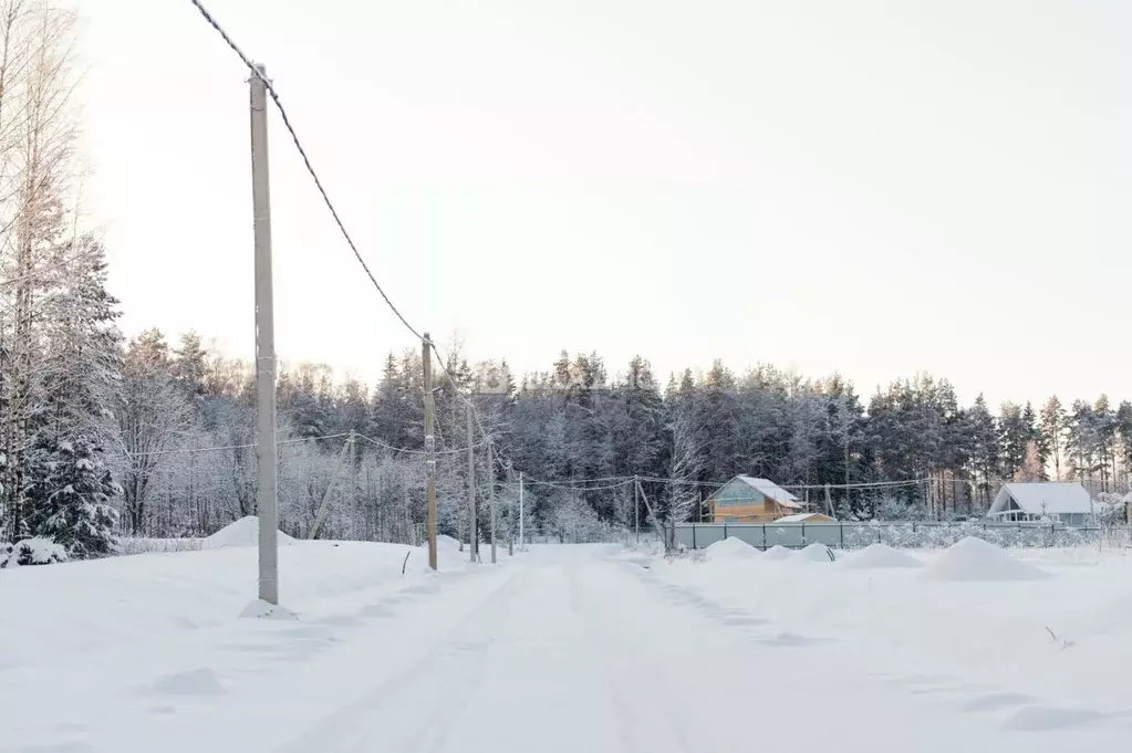 Участок в Ленинградская область, Выборгский район, Приморское ... - Фото 2