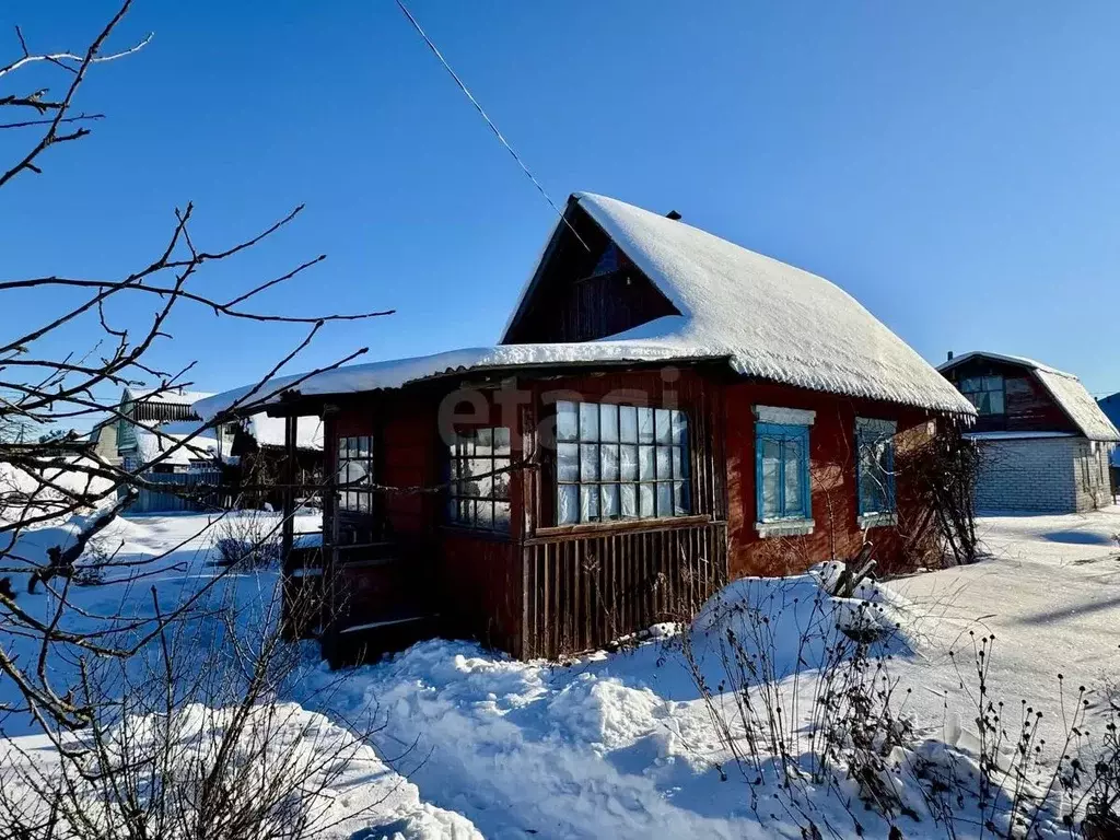Дом в Брянская область, Брянский район, Нетьинское с/пос, Природа СДТ  ... - Фото 2