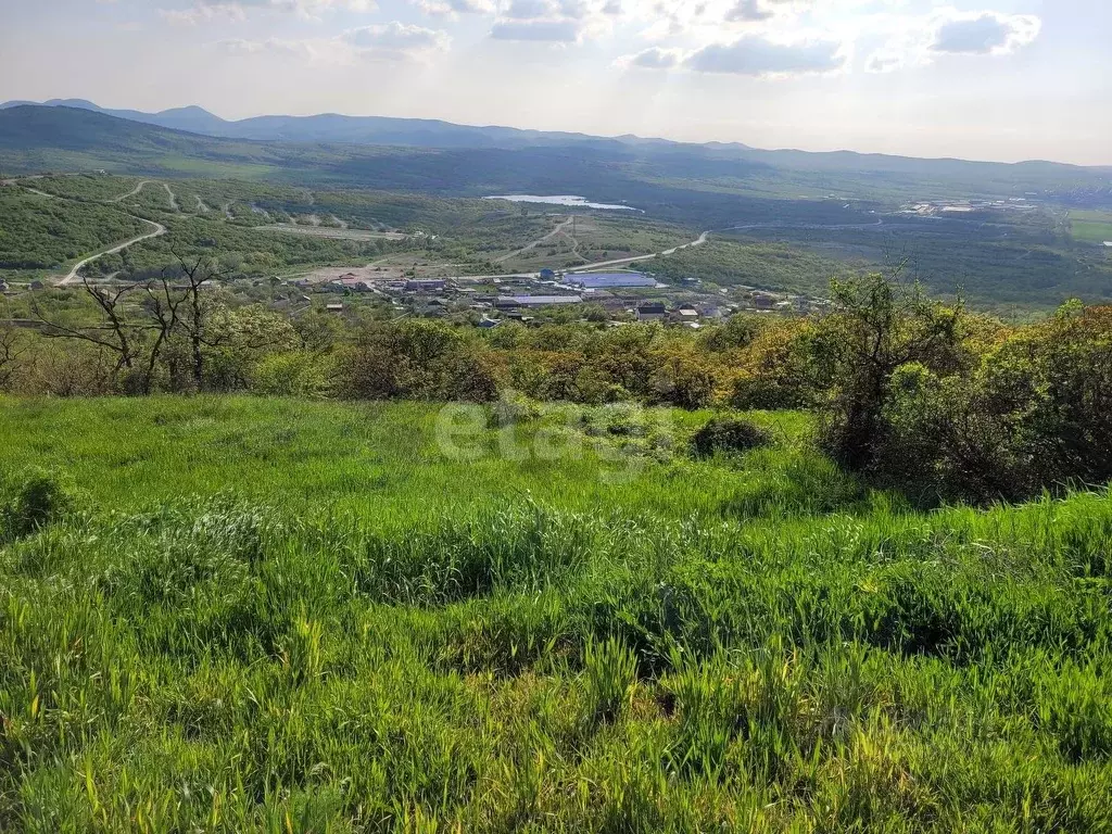 Участок в Краснодарский край, Новороссийск муниципальное образование, ... - Фото 0