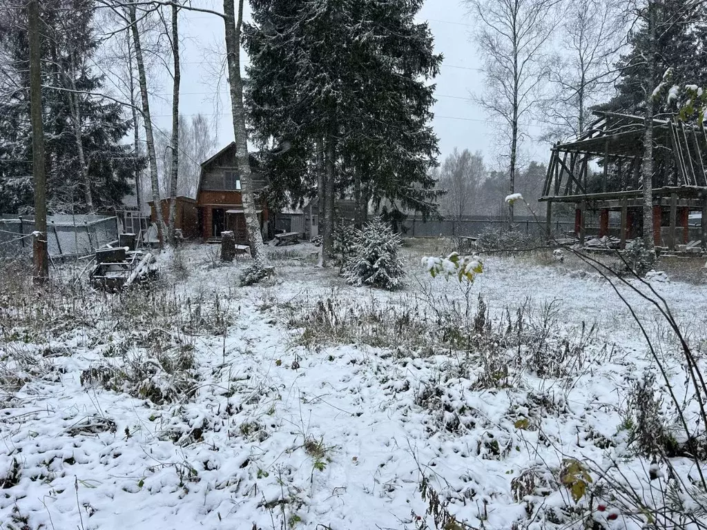 Участок в Владимирская область, Александровский район, Следневское ... - Фото 1