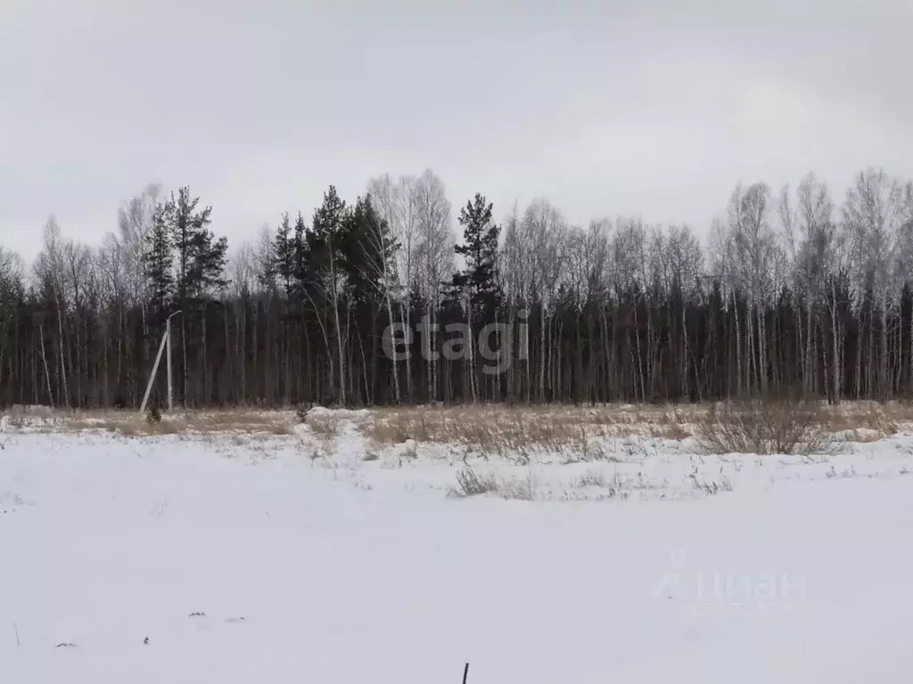 Участок в Свердловская область, Верхнее Дуброво пгт ул. Гагарина, 16 ... - Фото 1