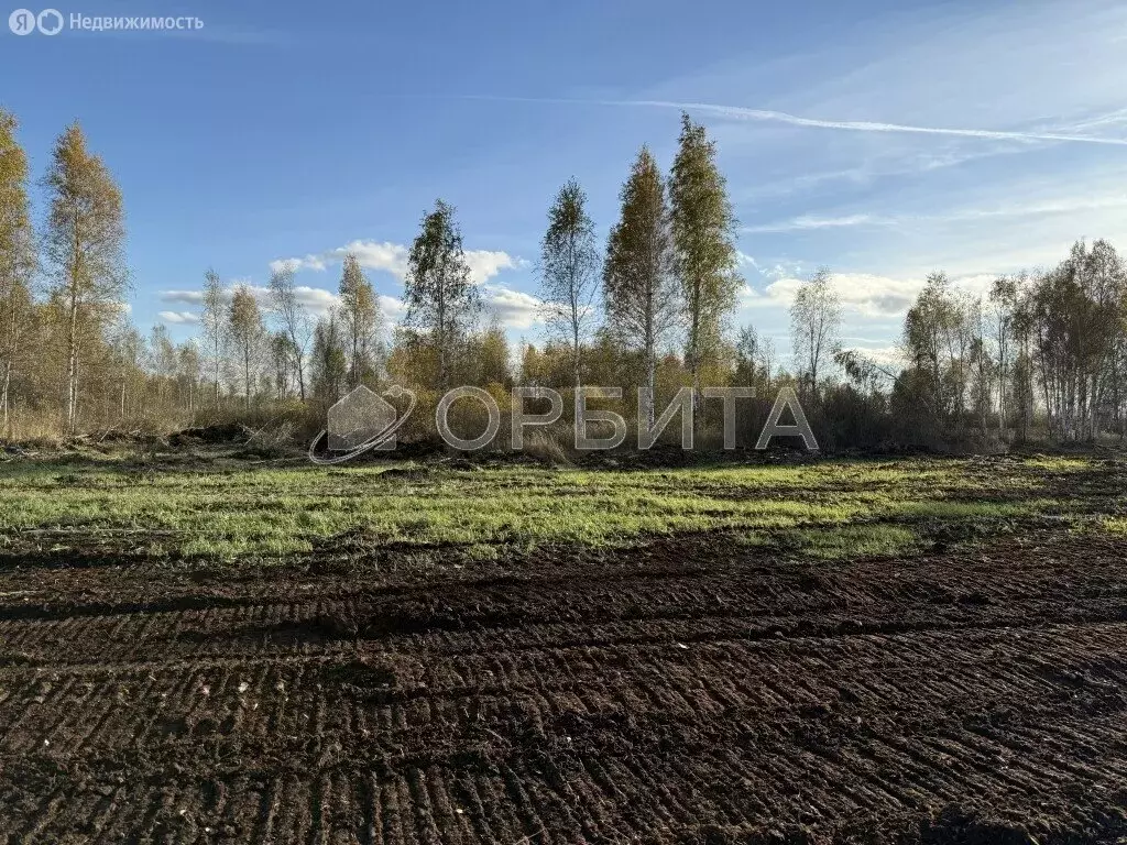 Участок в Тюмень, садовое товарищество Липовый Остров (9.3 м) - Фото 2